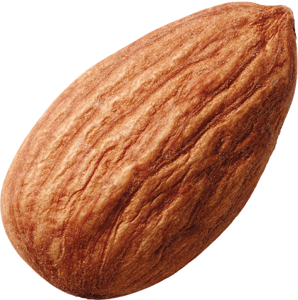 Accent Image