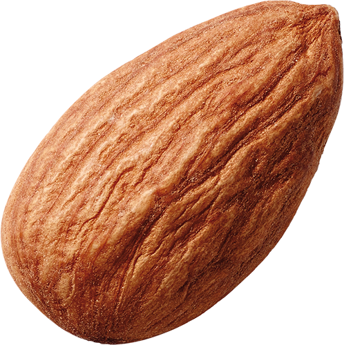 Accent Image