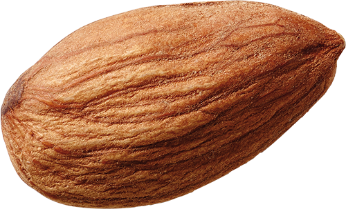 Accent Image