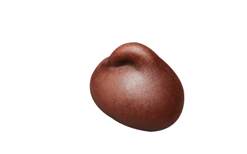 Accent Image
