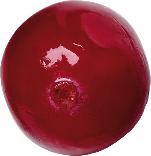 Accent Image