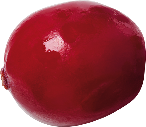 Accent Image