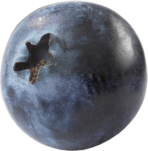 Accent Image