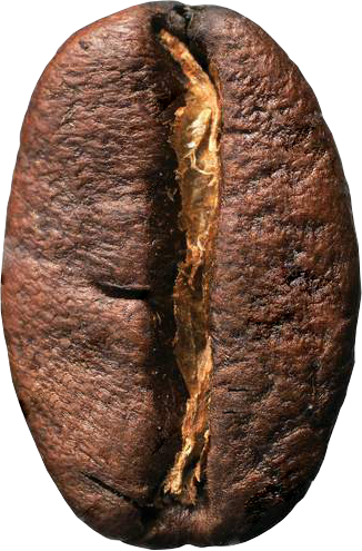 Accent Image
